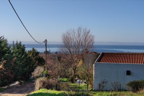 1000m² Land in Chalkidiki, Greece No. 56628 7