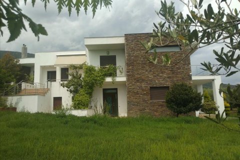 4 bedrooms Villa in Pella, Greece No. 56633 1