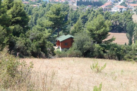 3 chambres Villa à Chalkidiki, Greece No. 49083 2