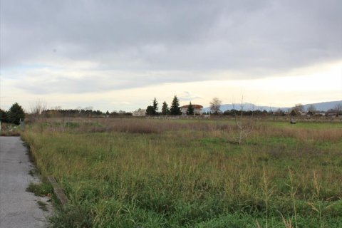 11111m² Land en Katerini, Greece No. 56757 2