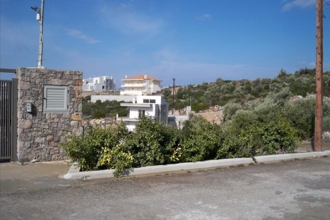 300m² Villa en Malesina, Greece No. 57731 6