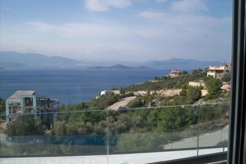 300m² Villa à Malesina, Greece No. 57731 17