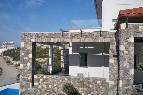 300m² Villa à Malesina, Greece No. 57731 26