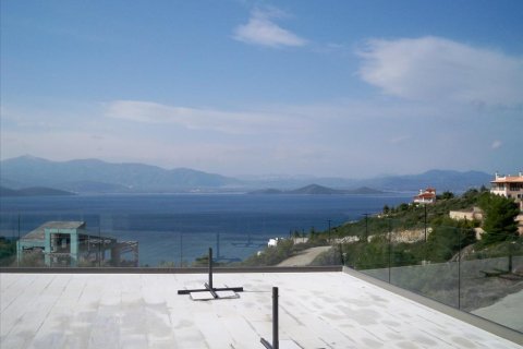 300m² Villa à Malesina, Greece No. 57731 16