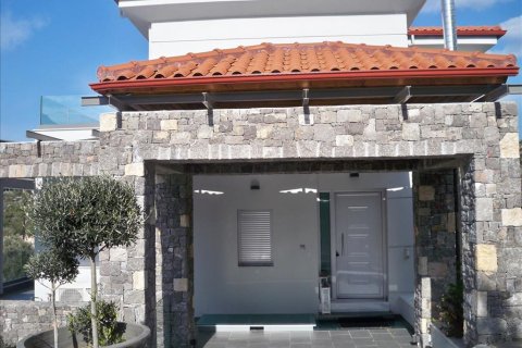 300m² Villa en Malesina, Greece No. 57731 15