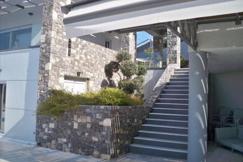 300m² Villa in Malesina, Greece No. 57731 1