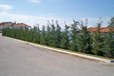 300m² Villa en Malesina, Greece No. 57731 4