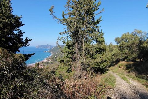 7836m² Land en Corfu, Greece No. 57734 14