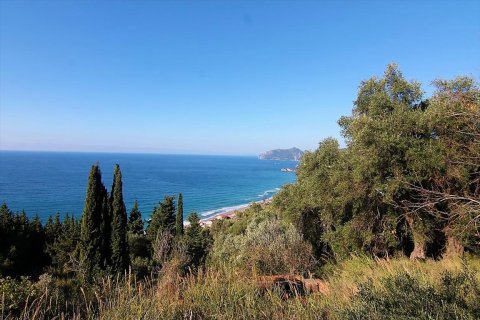 7836m² Land in Corfu, Greece No. 57734 2