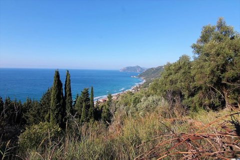 7836m² Land en Corfu, Greece No. 57734 3