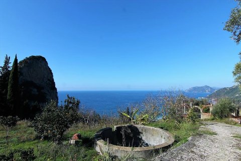 7836m² Land in Corfu, Greece No. 57734 13