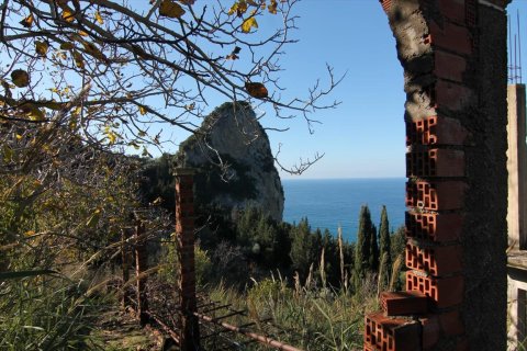 7836m² Land en Corfu, Greece No. 57734 6