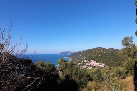 7836m² Land in Corfu, Greece No. 57734 12