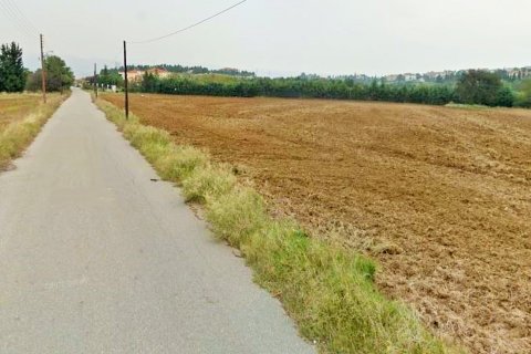 6000m² Land in Oraiokastro, Greece No. 57732 1