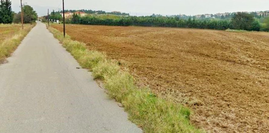 6000m² Land in Oraiokastro, Greece No. 57732