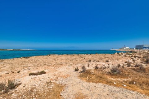 5550m² Land en Ayia Napa, Cyprus No. 64894 1