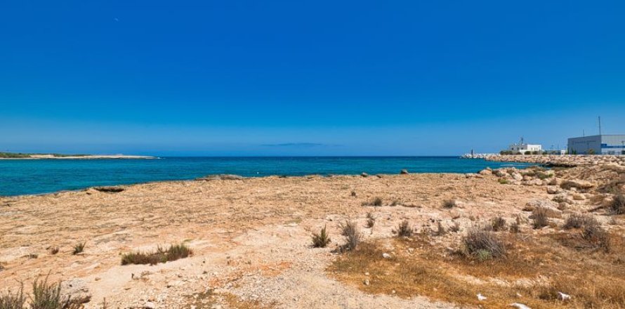 5550m² Land en Ayia Napa, Cyprus No. 64894