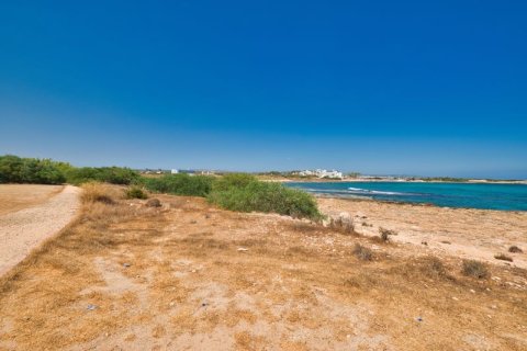 5550m² Land en Ayia Napa, Cyprus No. 64894 5