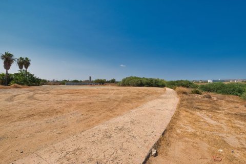 5550m² Land en Ayia Napa, Cyprus No. 64894 4