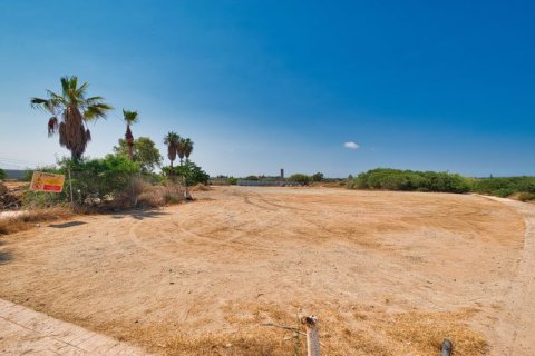 5550m² Land en Ayia Napa, Cyprus No. 64894 9