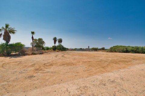 5550m² Land en Ayia Napa, Cyprus No. 64894 3