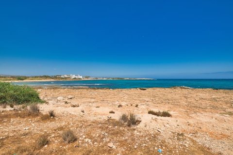 5550m² Land en Ayia Napa, Cyprus No. 64894 6