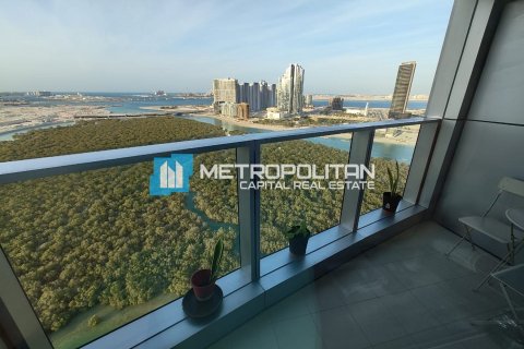 2 dormitorios Apartment en Al Reem Island, UAE No. 47034 3