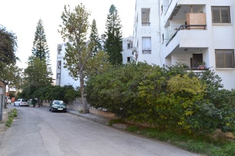 490m² Commercial property in Paphos, Cyprus No. 49196 13