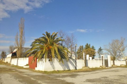 350m² Commercial property en Pieria, Greece No. 49200 3