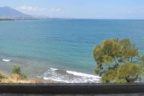 470m² Negocio en Chalcis, Greece No. 59510 4