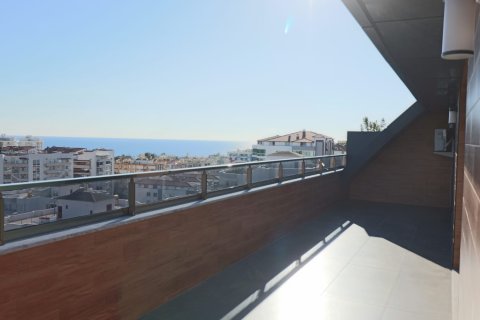 4+1 Penthouse in Tosmur, Turkey No. 14612 17