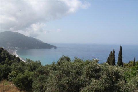 12000m² Land en Corfu, Greece No. 60272 7