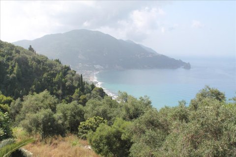 12000m² Land en Corfu, Greece No. 60272 5