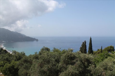 12000m² Land en Corfu, Greece No. 60272 1