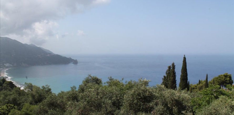 12000m² Land en Corfu, Greece No. 60272