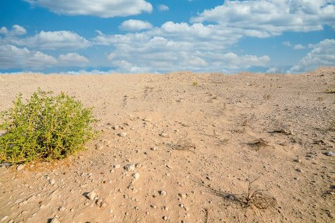 360m² Land à Baniyas, UAE No. 8193 4