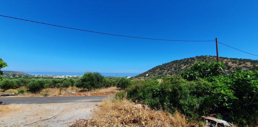 18000m² Land in Lasithi, Greece No. 56569