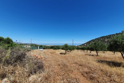 18000m² Land à Lasithi, Greece No. 56569 2