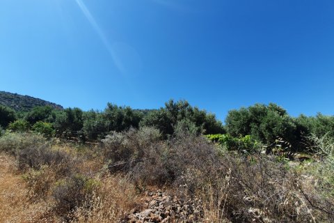 18000m² Land à Lasithi, Greece No. 56569 3