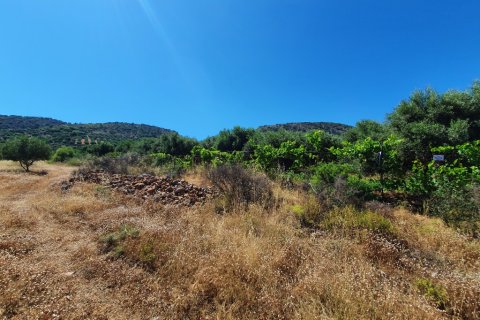 18000m² Land en Lasithi, Greece No. 56569 4