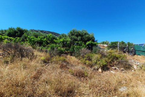 18000m² Land à Lasithi, Greece No. 56569 5