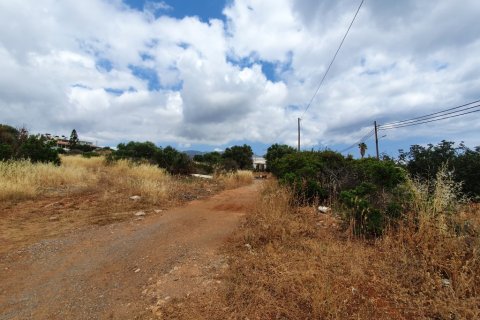 2363m² Land in Agios Nikolaos, Greece No. 56572 2