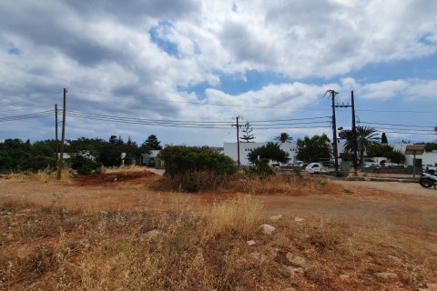 2363m² Land à Agios Nikolaos, Greece No. 56572 4