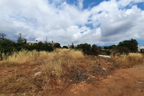 2363m² Land à Agios Nikolaos, Greece No. 56572 3