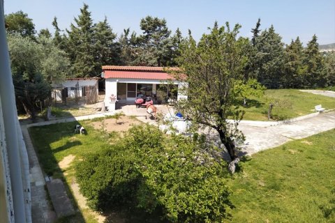 12 bedrooms House in Oraiokastro, Greece No. 56574 22