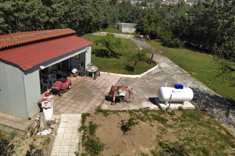 12 bedrooms House in Oraiokastro, Greece No. 56574 18