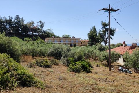 13750m² Land in Polygyros, Greece No. 56571 9