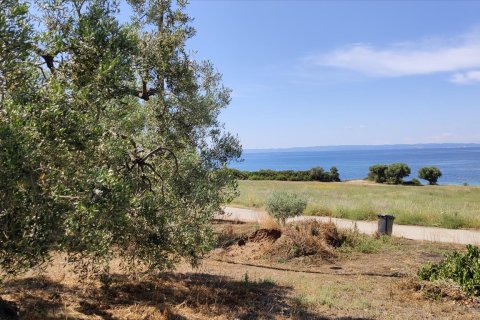 13750m² Land en Polygyros, Greece No. 56571 10