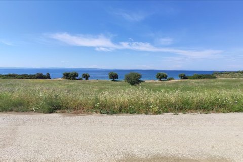 13750m² Land in Polygyros, Greece No. 56571 11