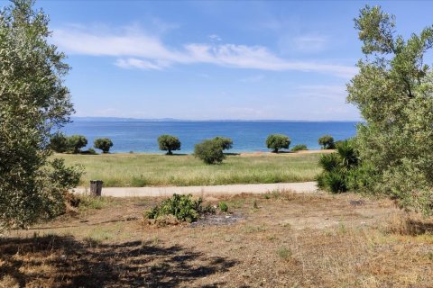 13750m² Land in Polygyros, Greece No. 56571 1